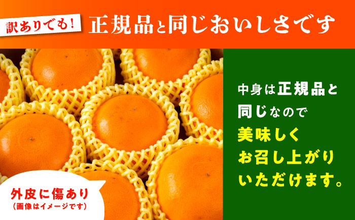 【2026年2月下旬から発送】【訳あり】せとか みかん 家庭用 約2.5kg 果物 フルーツ 【小春農園】 [ZBN007]