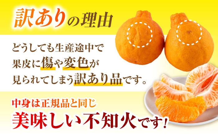 【2026年3月下旬から発送】【訳あり】 柑橘の王様 ハウス栽培 不知火 デコポン 約3kg（7～12玉） 【小春農園】 [ZBN008]