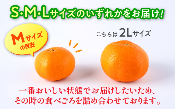 【先行予約】 旨み凝縮！ 飛龍台木 白川 温州 みかん S～Lサイズ 約5kg 山鹿市産　【小春農園】 [ZBN009]