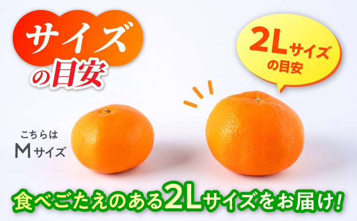 【先行予約】 旨み凝縮！ 飛龍台木 白川 温州 みかん 2Lサイズ 約5kg 山鹿市産　【小春農園】 [ZBN010]