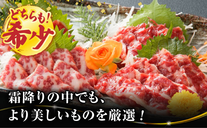 【3回定期便】特選霜降り馬刺し 大トロ中トロ2種食べ比べセット　計600ｇ（各300g）【山鹿市（桜屋）】 [ZBO060]