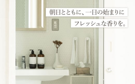 COKONLAB ハンド＆ボディウォッシュ ブランプリュム480ml【株式会社 あつまるホールディングス NSP山鹿工場】 [ZBR012]