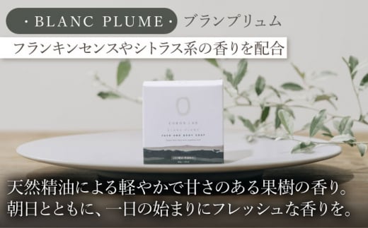 COKONLAB フェイス＆ボディソープ BR2個セット【株式会社 あつまるホールディングス NSP山鹿工場】 [ZBR016]