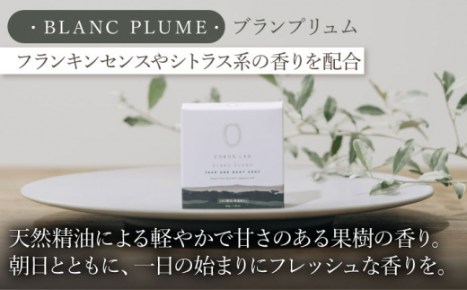 【全4回定期便】COKONLAB フェイス＆ボディソープ BR2個セット【株式会社 あつまるホールディングス NSP山鹿工場】 [ZBR031]