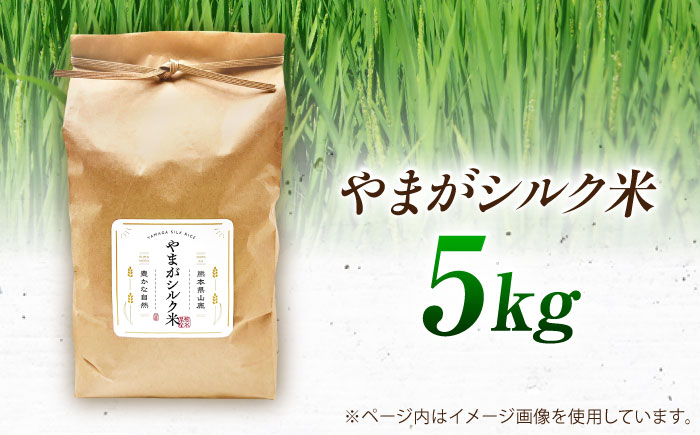 やまがシルク米 5kg【株式会社 あつまるホールディングス NSP山鹿工場】 [ZBR040]