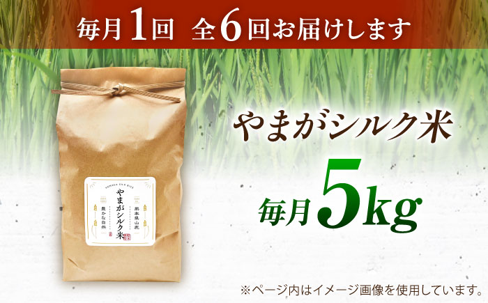 【全6回定期便】やまがシルク米 5kg【株式会社 あつまるホールディングス NSP山鹿工場】 [ZBR041]