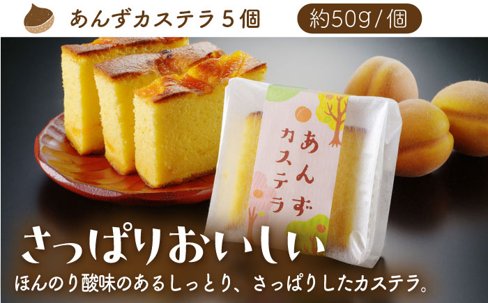 【6回定期便】カステラセット 山鹿和栗 & あんず 計10個 【株式会社あんず】 [ZBT009]