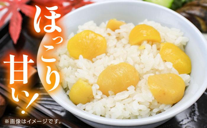 むき栗 約2kg（約1kg×2袋） 【株式会社あんず】 [ZBT015]