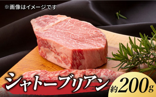 くまもと あか牛 希少部位 詰め合わせC計約900g [ZBV007]