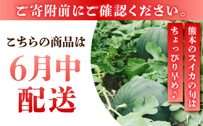 【先行予約】黒小玉 スイカ (ひとりじめ BonBon) 2玉 計約5kg【岡山農園】 [ZBY001]