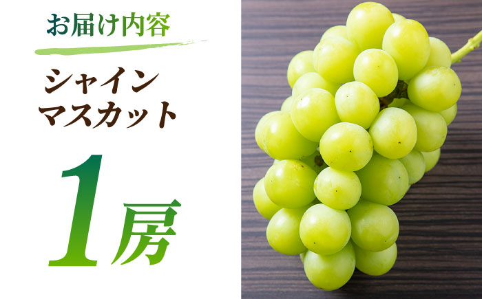 【2026年発送先行予約】食べ比べセット 800g（シャインマスカット & ピオーネ or Sブラック 各一房）【合同会社 社方園】 [ZBZ001]