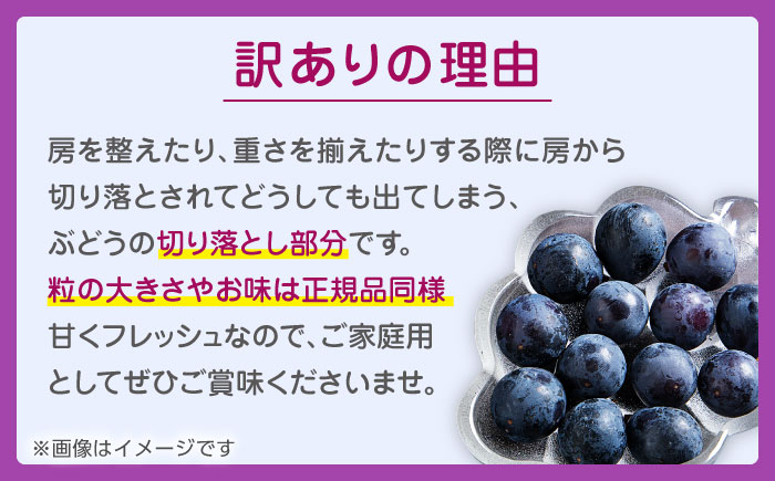 【先行予約】 訳あり ピオーネ ぶどう 切り落とし 約1kg  【合同会社 社方園】  訳あり ぶどう フルーツ 果物 ブドウ  [ZBZ007]