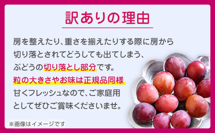 【2026年発送先行予約】訳あり クイーンニーナ ぶどう 切り落とし 約1kg  【合同会社 社方園】果物 赤ぶどう 熊本 ぶどう [ZBZ008]