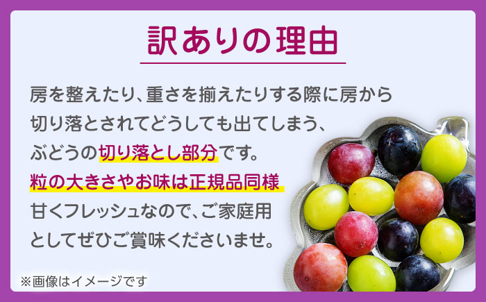 【先行予約】 訳あり ぶどう3種 食べ比べ 切り落とし 計約1kg  【合同会社 社方園】  ぶどう 詰め合わせ 熊本 訳あり 3種 セット 食べ比べ [ZBZ009]