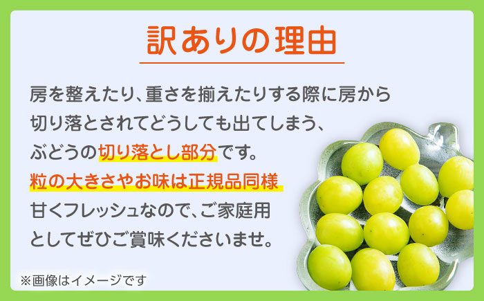 【先行予約】【2回定期便】訳あり シャインマスカット 切り落とし 約1kg  【合同会社 社方園】 定期 ぶどう 果物 訳あり 熊本 [ZBZ010]