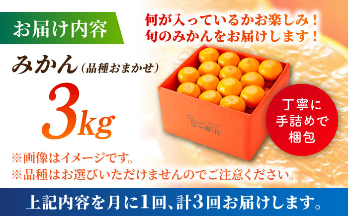 【先行予約】【3回定期便】みかん 約3kg 詰め合わせ 柑橘【合同会社 社方園】 [ZBZ022]