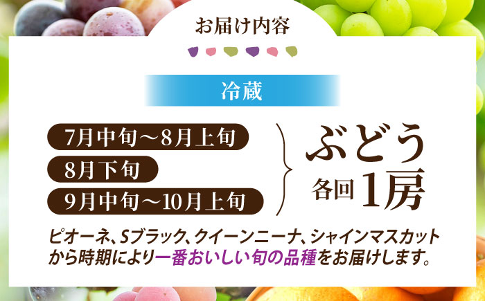 【6回定期便】品種おまかせ みかん・ぶどう 定期便【合同会社 社方園】 [ZBZ025]