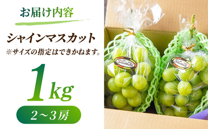 【先行予約】【訳あり】シャインマスカット 約1kg(2～3房)【合同会社 社方園】 [ZBZ028]