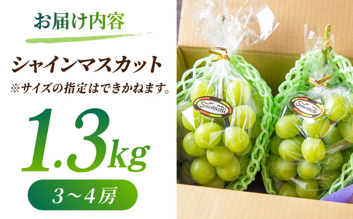 【先行予約】【訳あり】シャインマスカット 約1.3kg(3～4房)【合同会社 社方園】 [ZBZ029]
