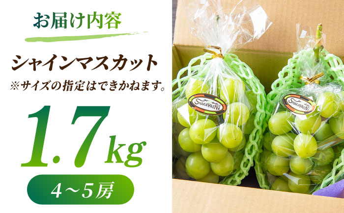 【先行予約】【数量限定】【訳あり】シャインマスカット 約1.7kg(4～5房)【合同会社 社方園】 [ZBZ031]