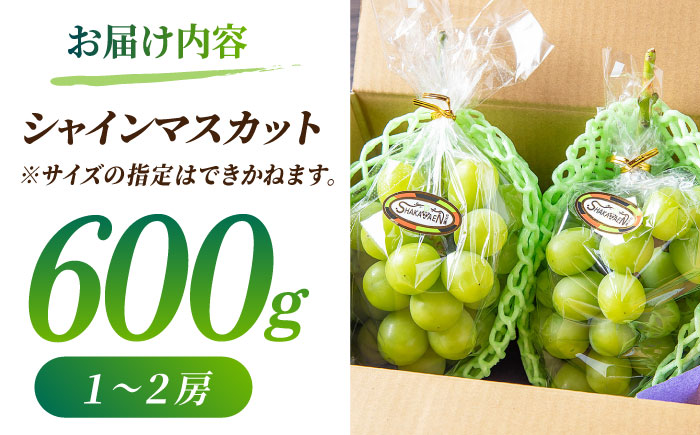 【先行予約】【訳あり】シャインマスカット 約600g(1～2房)【合同会社 社方園】 [ZBZ035]