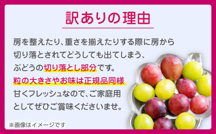 【先行予約】 訳あり 紅白ぶどう2種（シャインマスカット＆クイーンニーナ）食べ比べ 切り落とし 計約700g  【合同会社 社方園】 [ZBZ042]