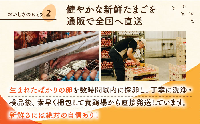 【全3回定期便】 【化粧箱入り】赤たまご M玉 40個 (37個＋割れ保証3個)【農事組合法人 鹿本養鶏組合】 [ZCA003]