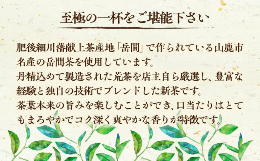 高級茶『山鹿市岳間茶』2袋ギフトセット 【岳間の郷ひがし】 [ZCH005]