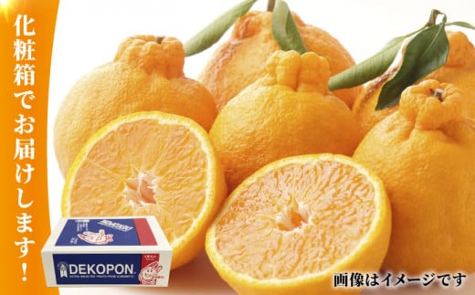 【先行予約】デコポン 約2kg【かきやま果実】 フルーツ 果物 でこぽん 熊本県 柑橘  [ZCJ001]