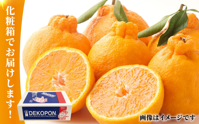 【先行予約】デコポン 約3kg 化粧箱入り【かきやま果実】フルーツ 果物 でこぽん 熊本県 [ZCJ002]