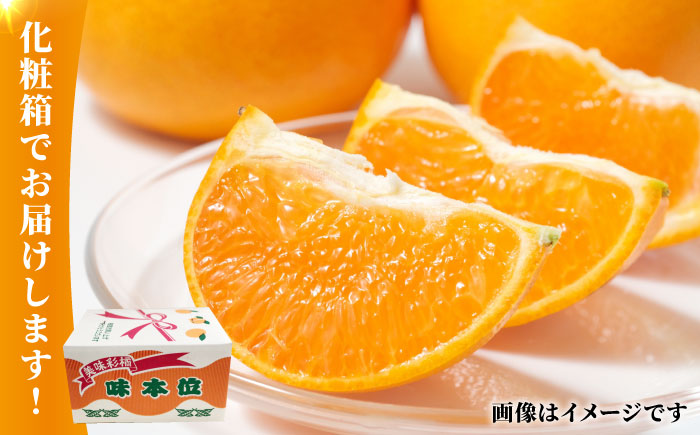 熊本 みかん 約 5kg 化粧箱入り 【かきやま果実】 [ZCJ004]