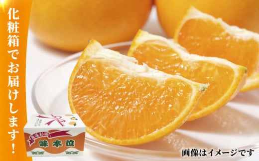 みかん 約10kg【かきやま果実】 [ZCJ005]