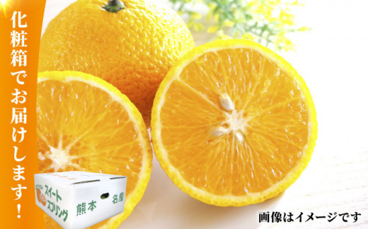 【先行予約】スイートスプリング 2～3L玉 約10kg化粧箱入り【かきやま果実】 [ZCJ009]