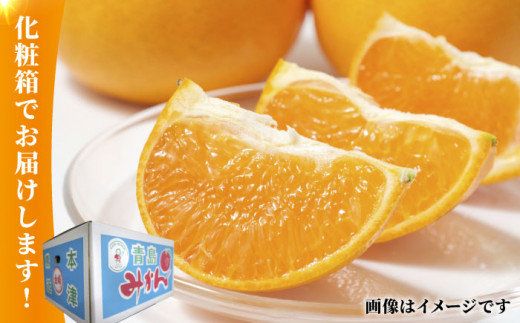 【先行予約】青島 みかん 約10kg【かきやま果実】 [ZCJ011]