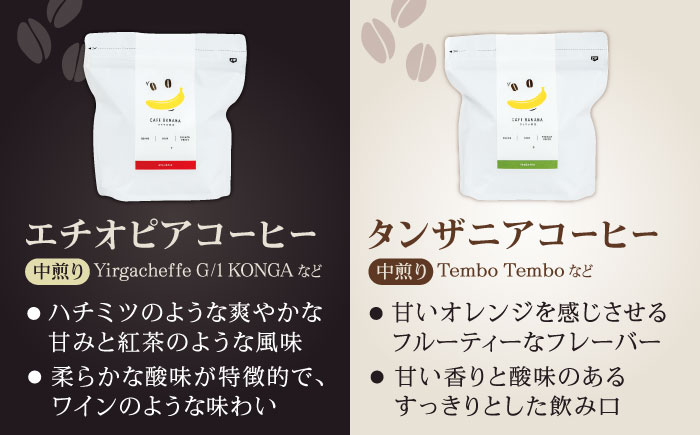 【12回定期便】【豆のまま】自家焙煎 スペシャルティコーヒー 豆 （ 250g × 2種 ）約40杯分【かきやま果実】 [ZCJ020]