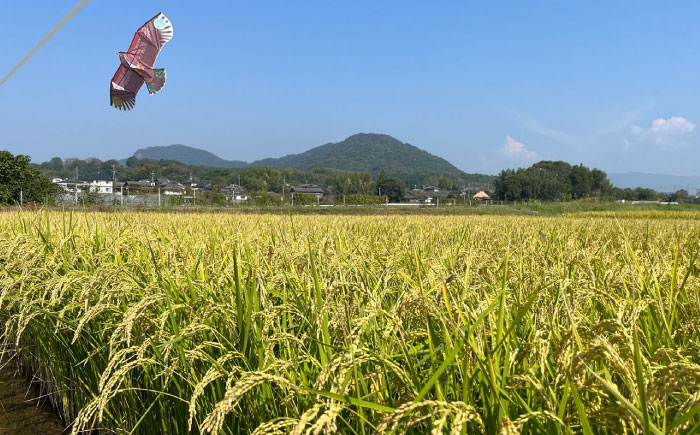 〈令和7年度新米〉 【先行予約】【天日塩を使用】一鹿米 旭一号 白米 5kg【株式会社 夢アグリ】 新米 令和7年産 [ZCL005]