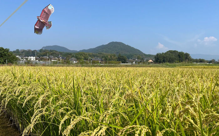 〈令和7年度新米〉 【先行予約】 【天日塩を使用】一鹿米 旭一号 米 白米 10kg【株式会社 夢アグリ】 新米 令和7年産 [ZCL016]