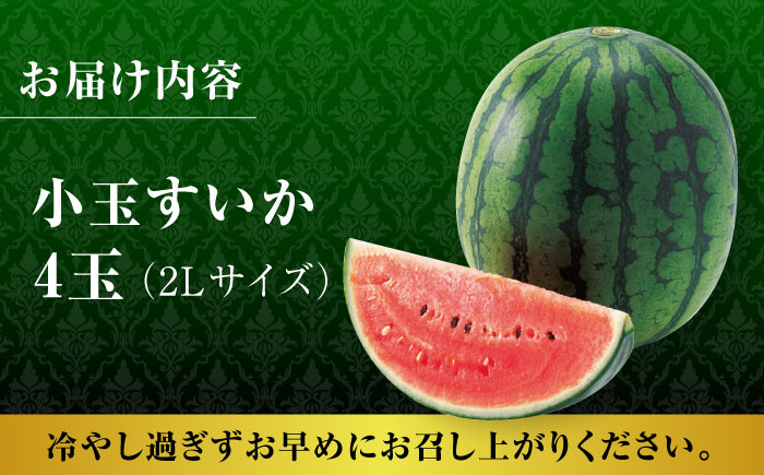 【先行予約】小玉スイカ ひとりじめ 4玉 2Lサイズ 【株式会社 前田ファーム】 [ZCM012]