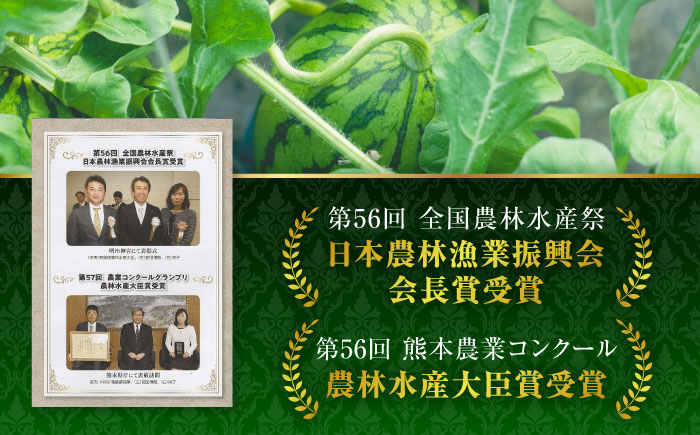 【先行予約】【4回定期便】スイカ・メロン 厳選定期便  化粧箱入り【株式会社前田ファーム】 [ZCM013]