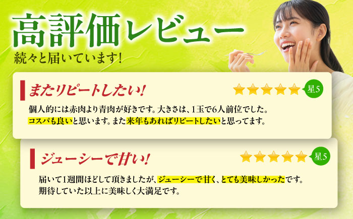 【先行予約】 肥後グリーン メロン 2玉【合同会社 福福堂】 [ZCN003]