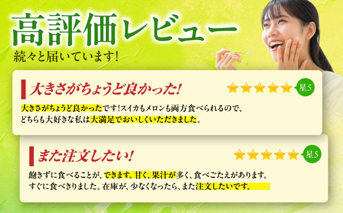 【先行予約】 肥後グリーン メロン 1玉＆小玉 すいか 1玉【合同会社 福福堂】 [ZCN004]