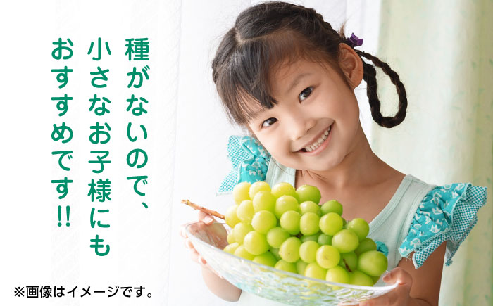 【先行予約】シャインマスカット 約1.2kg2～3房 ぶどう 種なし【合同会社 福福堂】 [ZCN006]