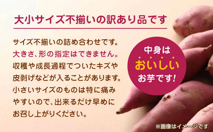【年内発送は12月21日ご入金分まで！】 さつまいも 紅はるか or シルクスイート 蜜芋 5kg【合同会社 福福堂】 [ZCN013]