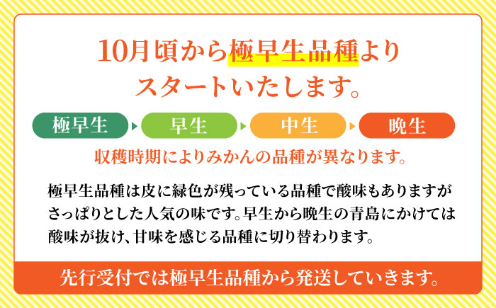 【年内発送は12月21日ご入金分まで！】【訳あり】家庭用 温州 みかん 約4.5kg～5kg【合同会社 福福堂】 [ZCN014]