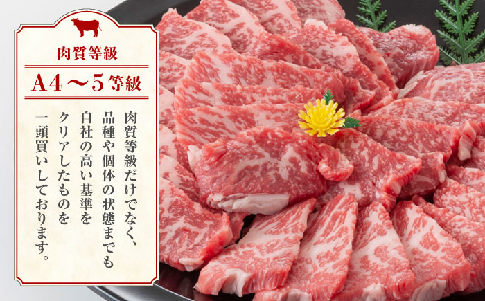 【6回定期便】熊本県産 黒毛和牛 もも 食べ比べ セット 約1kg【九州食肉産業】 ブロック 国産 A4 A5 山鹿  [ZDQ057]