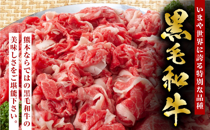 熊本県産 黒毛和牛 × あか牛 切り落とし 食べ比べ 約 1kg【有限会社 九州食肉産業】 [ZDQ085]