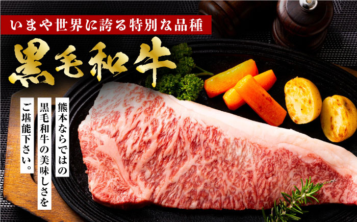 【12回定期便】熊本県産 黒毛和牛 × あか牛 ロース ステーキ 食べ比べ 約 300g×4枚【有限会社 九州食肉産業】 [ZDQ141]