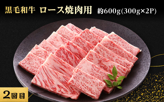 【3回定期便】熊本県産 黒毛和牛【有限会社 九州食肉産業】 [ZDQ168]