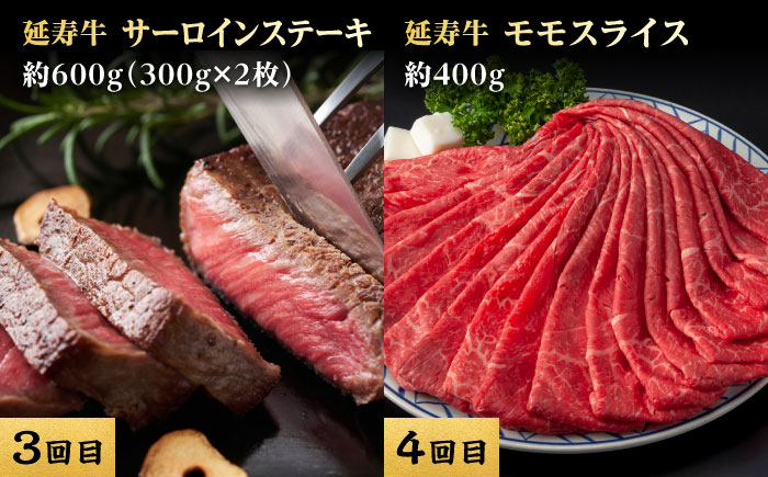 【6回定期便】熊本県産 あか牛『延寿牛』 食べ比べ【有限会社 九州食肉産業】 [ZDQ169]