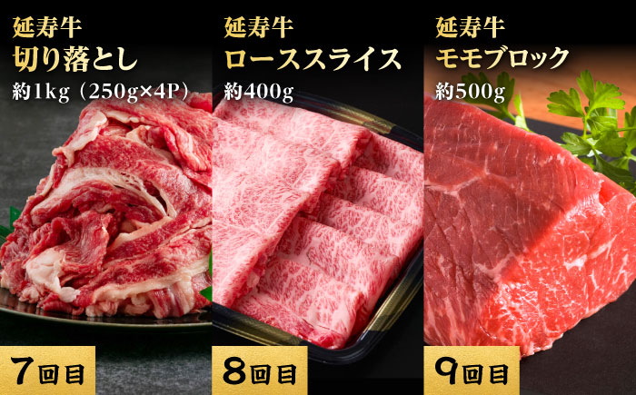 【12回定期便】熊本県産 あか牛『延寿牛』 贅沢食べ比べ【有限会社 九州食肉産業】 [ZDQ170]